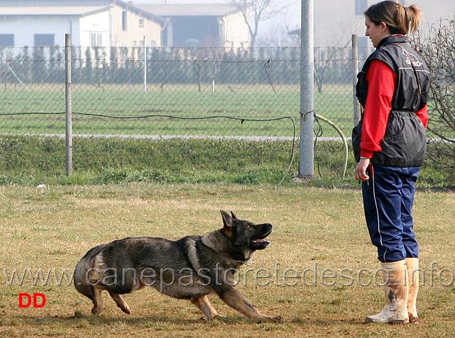 072.jpg - IPO3 Mirka conduttrice Luana Zoli fase B punti 85
