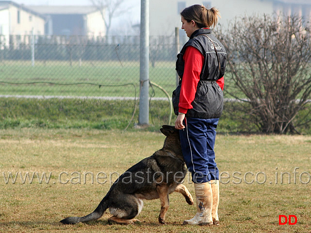 073.jpg - IPO3 Mirka conduttrice Luana Zoli fase B punti 85