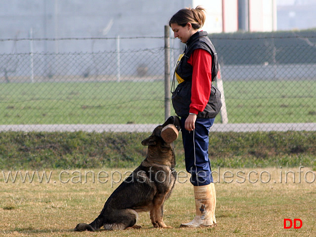 077.jpg - IPO3 Mirka conduttrice Luana Zoli fase B punti 85