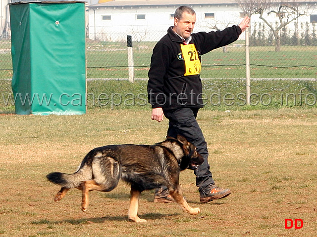 111.jpg - IPO3 Jango v. Helo conduttore Florian Stampfer fase C punti 95 1 classificato IPO3 Campione Regionale