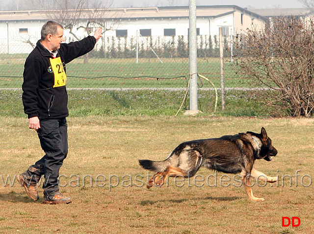 112.jpg - IPO3 Jango v. Helo conduttore Florian Stampfer fase C punti 95 1 classificato IPO3 Campione Regionale