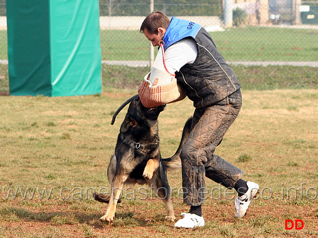 132.jpg - IPO3 Jango v. Helo  fase C punti 95 1 classificato IPO3 Campione Regionale