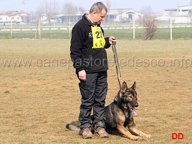 134.jpg - IPO3 Jango v. Helo conduttore Florian Stampfer fase C punti 95 1 classificato IPO3 Campione Regionale
