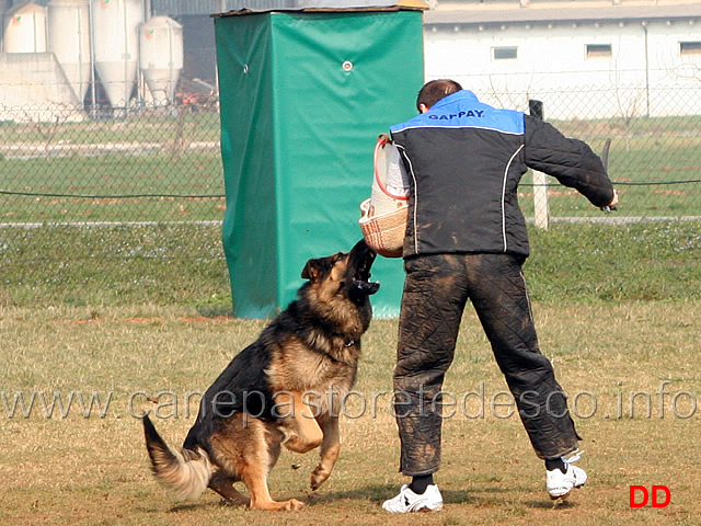 155.jpg - IPO3 Vasco v. Lastal conduttore Werner Runggaldier fase C SQ (A 96, B 90)