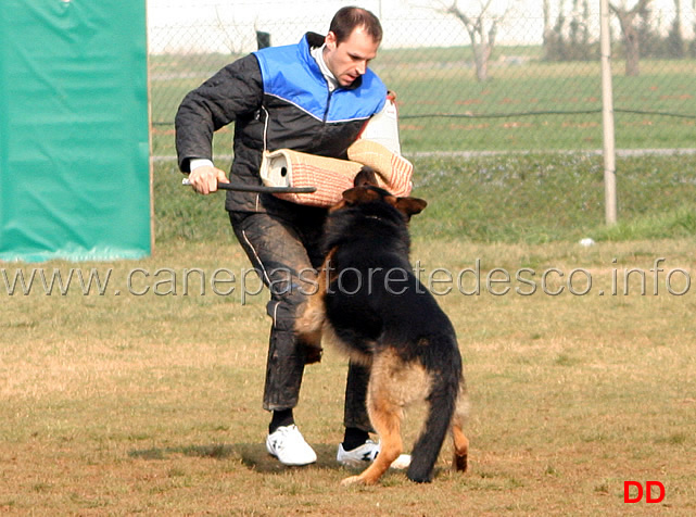 157.jpg - IPO3 Vasco v. Lastal conduttore Werner Runggaldier fase C SQ (A 96, B 90)