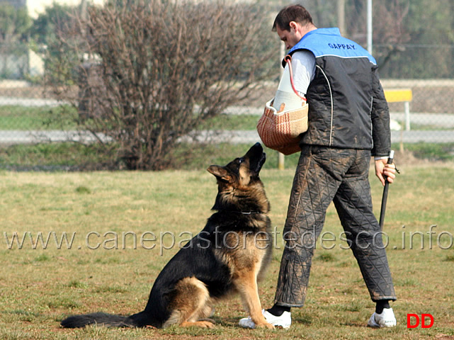 160.jpg - IPO3 Vasco v. Lastal conduttore Werner Runggaldier fase C SQ (A 96, B 90)