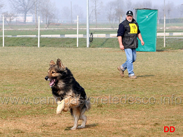 170.jpg - IPO3 Beautyfullgrey conduttore Luciano Amistani fase C punti 84 (tot.250 punti)