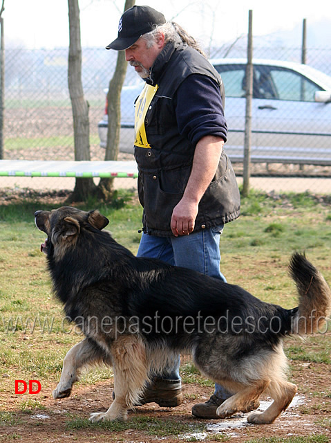 174.jpg - IPO3 Beautyfullgrey conduttore Luciano Amistani fase C punti 84 (tot.250 punti)