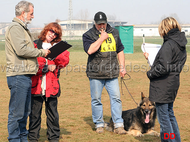 188.jpg - IPO3 Beautyfullgrey conduttore Luciano Amistani fase C punti 84 (tot.250 punti)