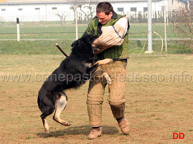 190.jpg - IPO3 Qliff v.Grenzganger conduttore Gianpaolo Berardi fase C 80 punti