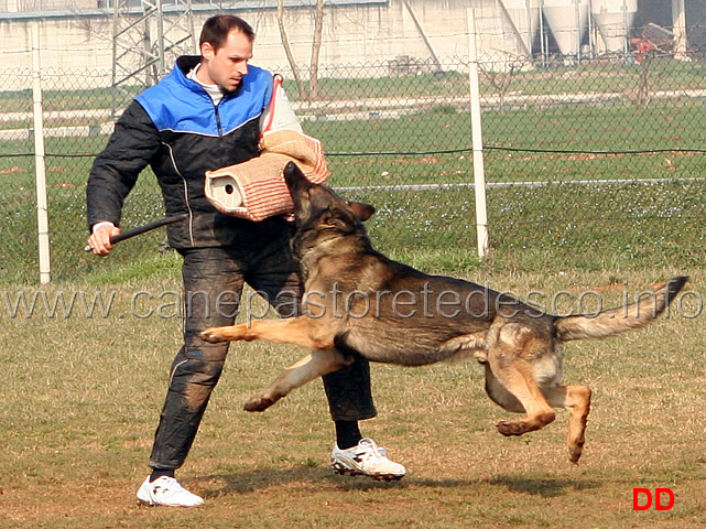 208.jpg - IPO3 Eliot conduttore Franco Zappi fase C 74 punti (tot. 259)