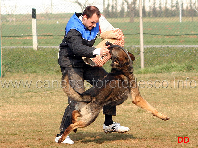 209.jpg - IPO3 Eliot conduttore Franco Zappi fase C 74 punti (tot. 259)