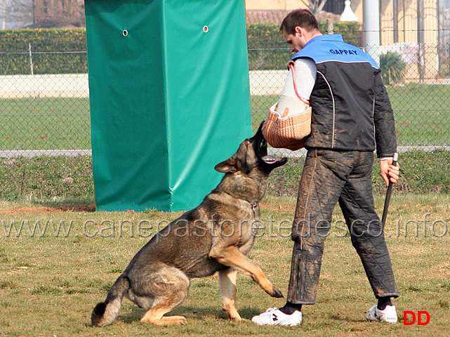 214.jpg - IPO3 Eliot conduttore Franco Zappi fase C 74 punti (tot. 259)