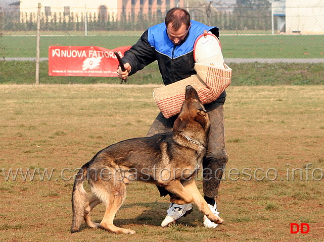 233.jpg - IPO3 Kim conduttore Valerio Buratti fase C 92 punti 2 classificato (tot. 277 MB)