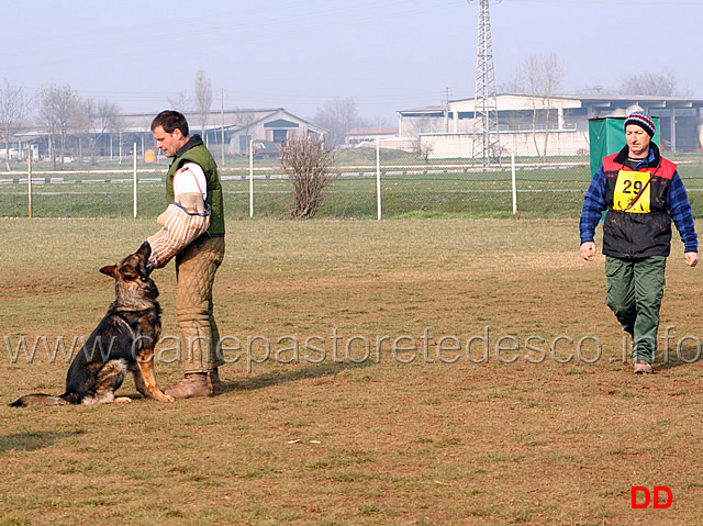264.jpg - IPO3 Orry conduttore Giorgio Manuelli fase C 87 punti (tot.269 B)