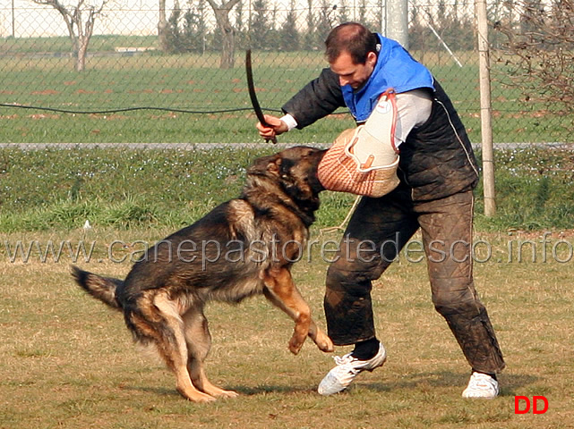 270.jpg - IPO3 Orry conduttore Giorgio Manuelli fase C 87 punti (tot.269 B)