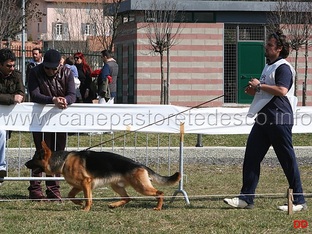 038.jpg - Cuccioloni maschi Nherone Leon