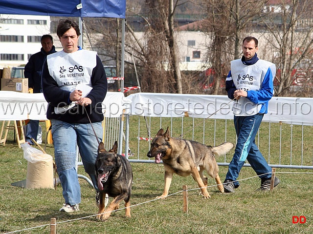 083.jpg - Adulti maschi Indio di Oroval e Uber della Zattera