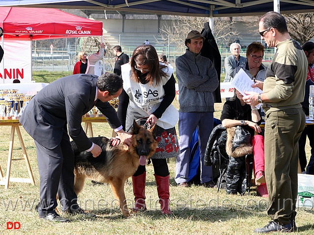 116.jpg - Il più strano abbigliamento mai visto per presentare un cane ad un raduno SAS