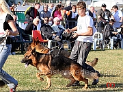 giuseppe-mamazza-campionato-2008