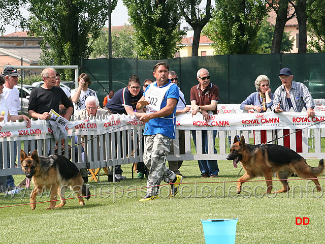 075.jpg - Classe giovanissimi maschi: Vando di Zenevredo e Iso di Ca' San Marco