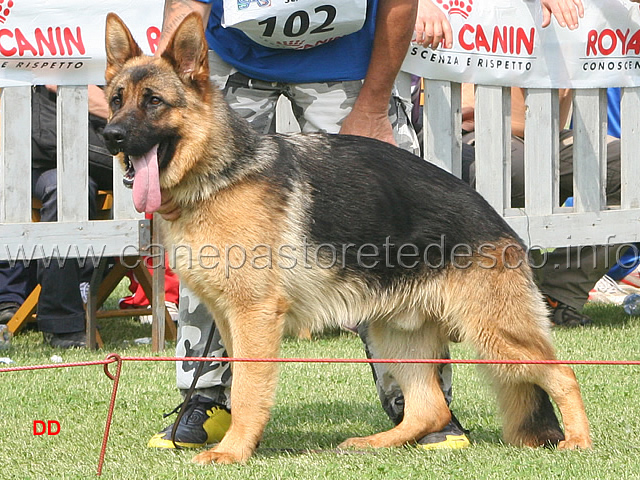 110.jpg - Classe giovanissimi maschi: 1  Vando di Zenevredo