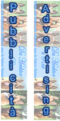 banner-verticale