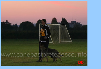 campionato-addestramento-in-rosa