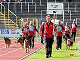 bszs-ulm-2009-gruppo-odin