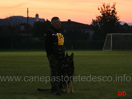 alberino piluso con nubi di oroval