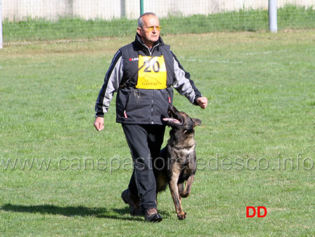 gianni greco con fato z elisu