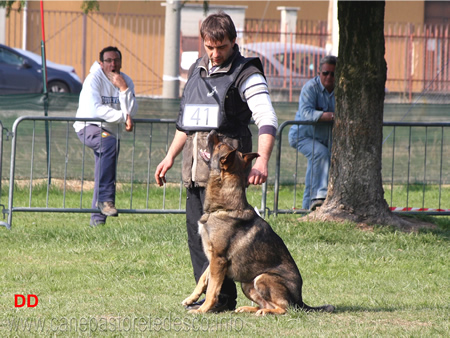 giuseppe spinello con max di casa nosella