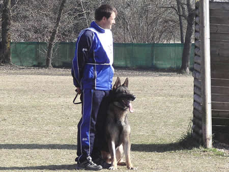 mauro caon con nico elsenzer see