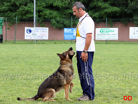 nicola rasicci con roy