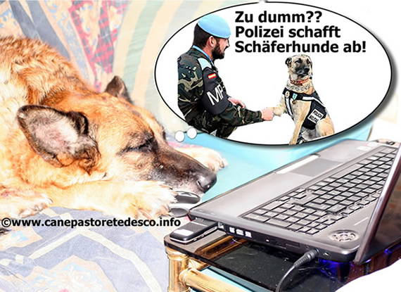 Polizei schafft Schaeferhunde ab