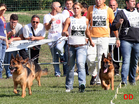 Rustov Xhena Xellent e Giorgia du Val d'Anzin