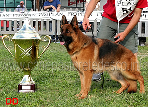 trofeo-walter-gorrieri-blanka