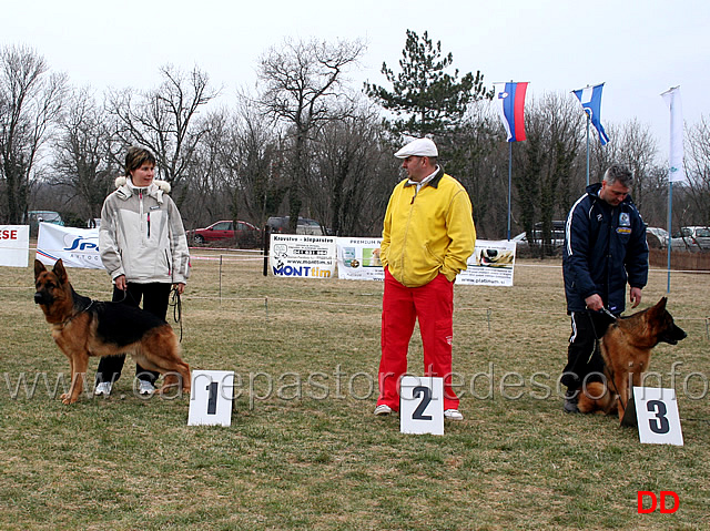 120.jpg - Premiazione: Zeus del Catone al primo posto e Jago al terzo (classe giovanissimi maschi)