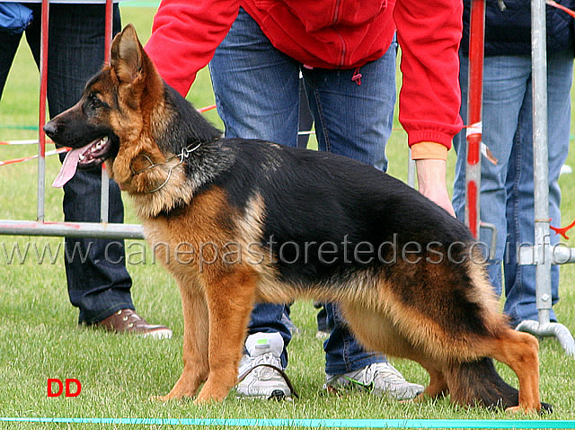 026.jpg - Classe Juniores femmine 2 MP  Anita