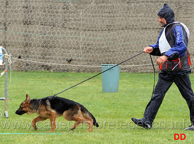057.jpg - Classe Juniores maschi Dux 10 insuff.