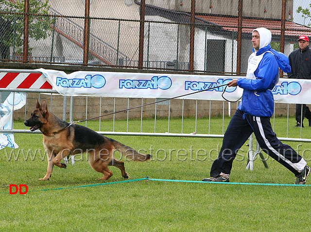 095.jpg - Classe Giovanissime femmine Brenda di Cariddi