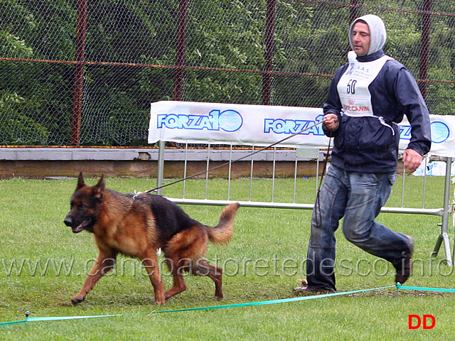 117.jpg - Classe Giovanissimi maschi 6 MB Jago