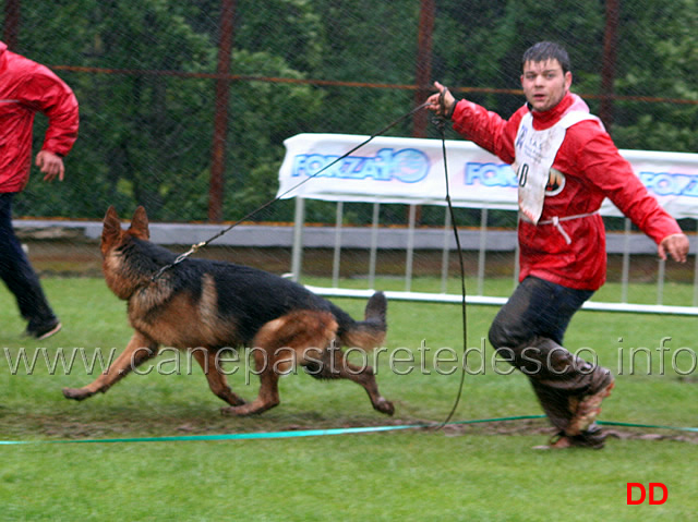 241.jpg - Classe Lavoro maschi  Yaron dell'Alto Ofanto