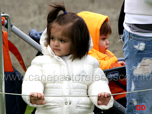 259.jpg - Bellissime a bordo ring