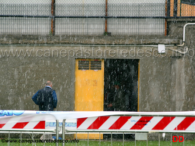 263.jpg - piove...madonna come piove.....ma vedi come viene giù...
