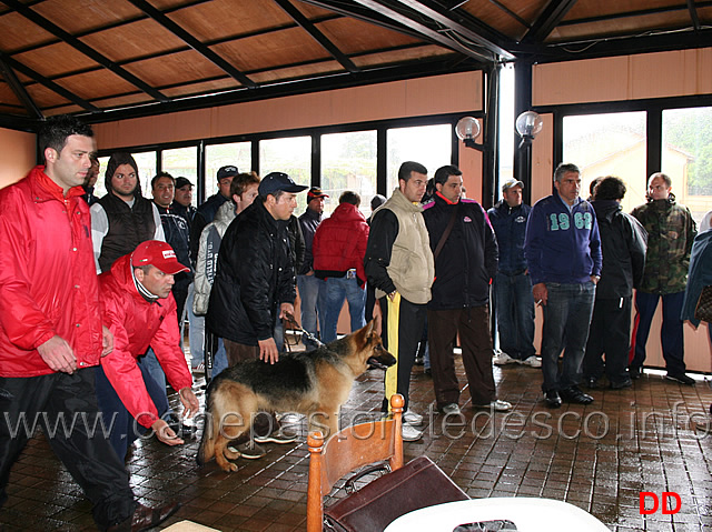 268.jpg - le ferme al chiuso causa forza maggiore