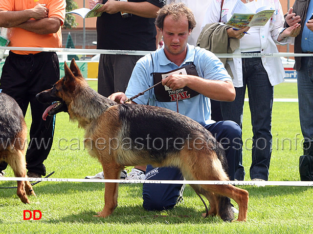 beta-hojsova-sg7-jkl-h.jpg - Giovanissime femmine (JKL H): Beta Hojsova SG7