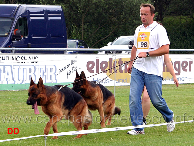 fulz-di-zenevredo-e-furbo-kleinen-ranch-.jpg - Giovani maschi (JHKL R): Fulz di Zenevredo e Furbo kleinen Ranch