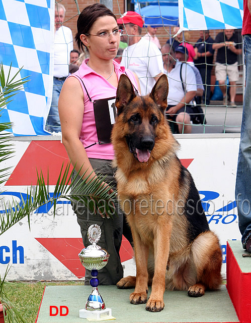 jeremiha-vom-agilolfinger-2-jkl-r.jpg - Giovanissimi maschi (JKL R): Jeremiha vom Agilolfinger SG 2