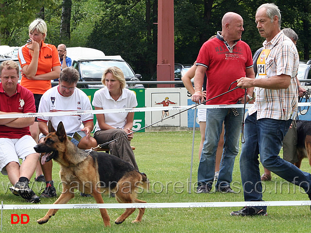 jhkl-h-annika-von-der-zenteiche.jpg - Giovani femmine (JHKL H): Annika von der Zeinteiche